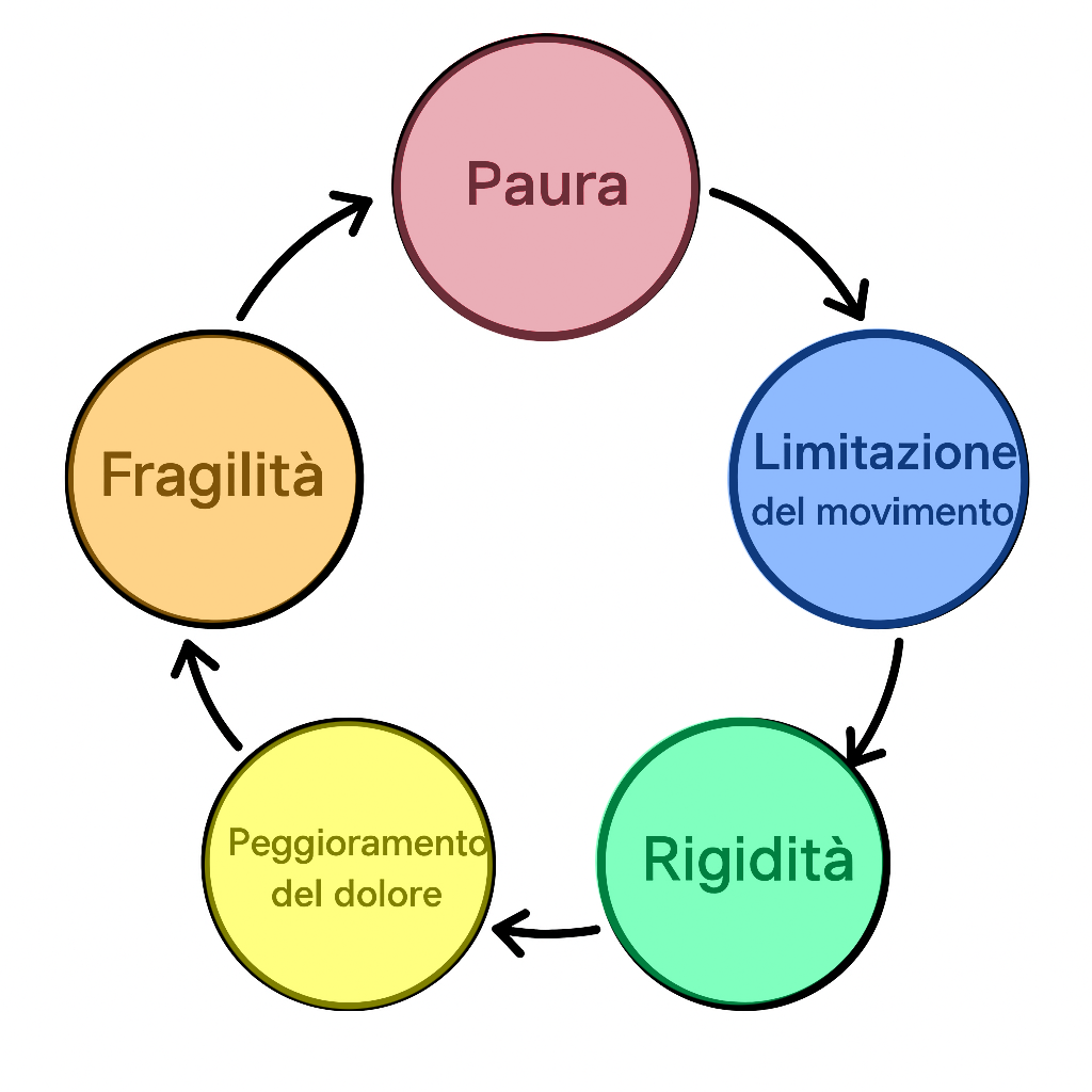 circolo vizioso dell' inattività: paura → limitazione del movimento → rigidità → peggioramento del dolore → fragilità → paura